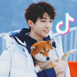 熊猫无损音乐歌单分享-抖音2020年10月热门BGM