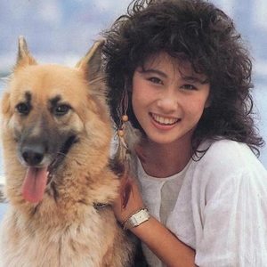 熊猫无损音乐歌单分享-【80后回忆录】青春无悔，怀念青春